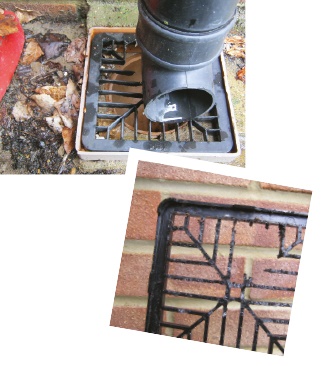 Rat damage to drain cover Rat damage to drain cover